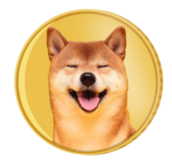 TINFA